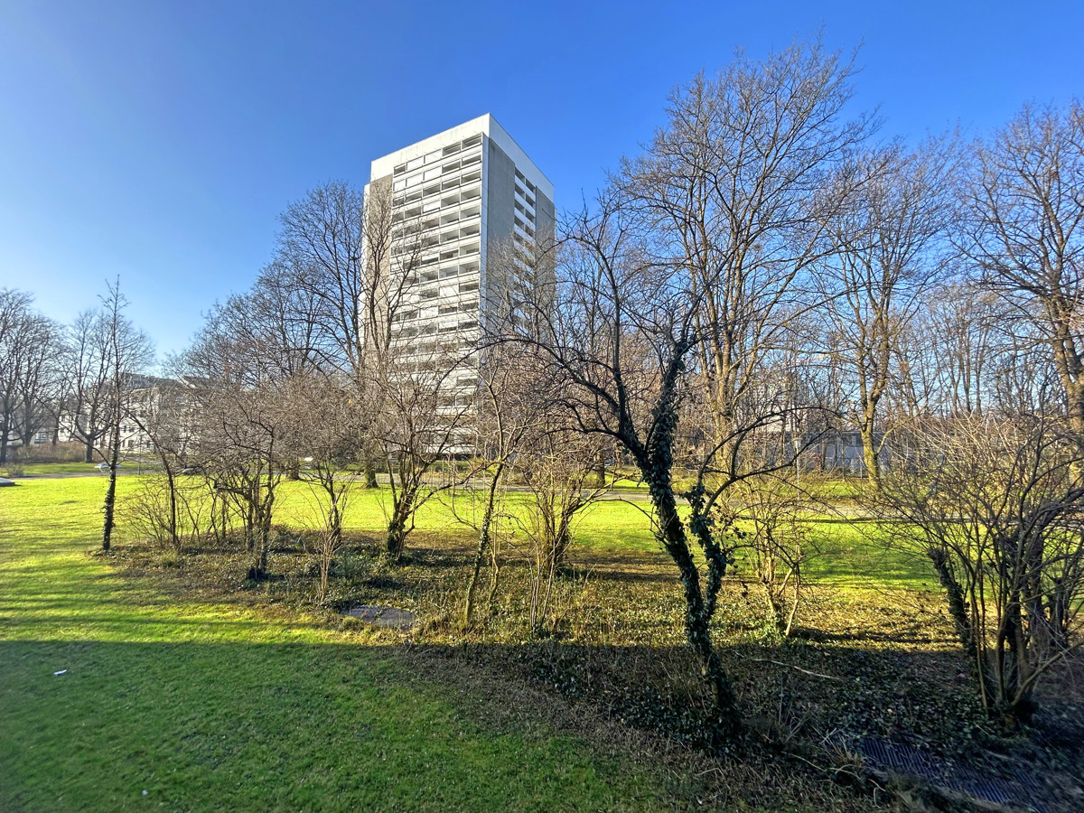 Blick ins Grüne