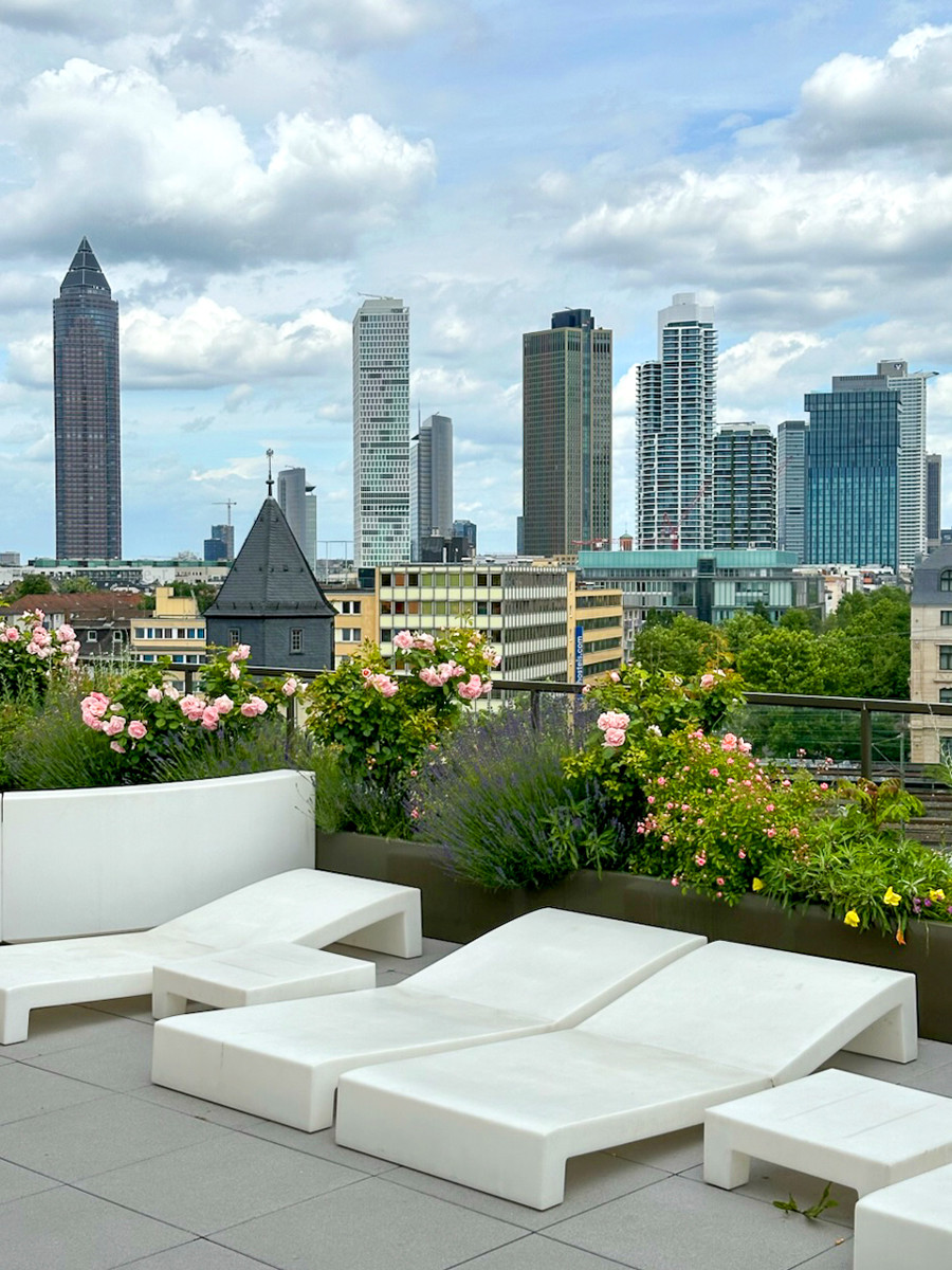 Blick Dachterrasse